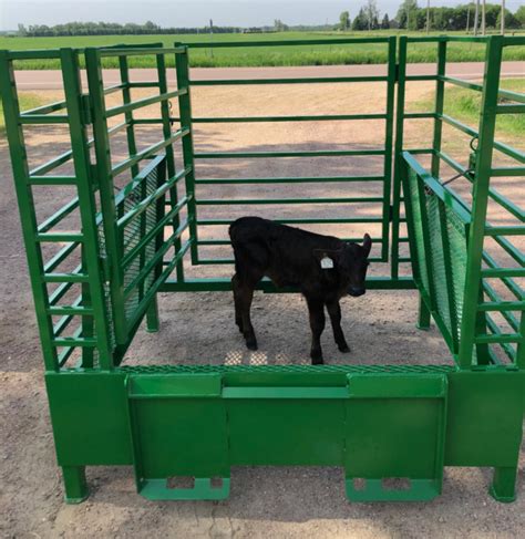 calf catcher for skid steer|hay calf catcher.